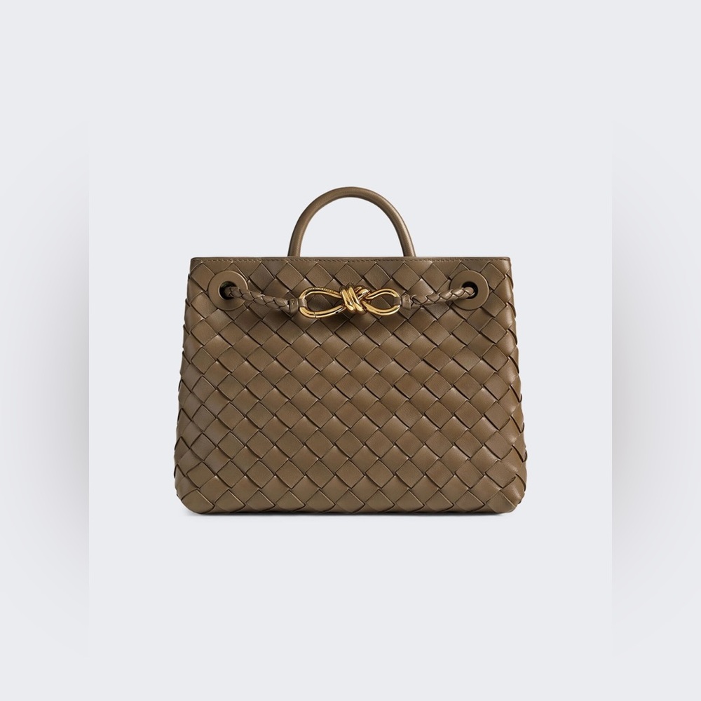 Bottega Veneta small Andiamo Pinecone/Brass - Picture 1 of 15